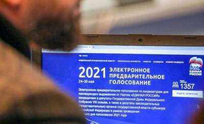 В предварительном голосовании "Единой России" участвуют молодые политики, общественники и волонтеры