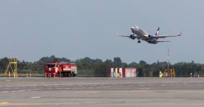 Количество запросов на авиабилеты Калининград — Минск выросло на 70%