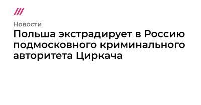 Польша экстрадирует в Россию подмосковного криминального авторитета Циркача