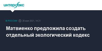 Матвиенко предложила создать отдельный экологический кодекс