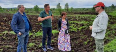 Министр сельского хозяйства Карелии посетил совхоз, где недавно сгорело 10 га земли