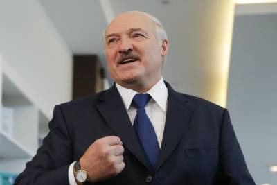 Лукашенко потребовал от западных стран компенсацию за расследование инцидента с самолетом