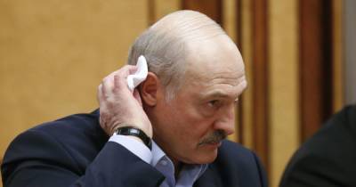 Лукашенко обвинил Киев и Львов в отказе принять Ryanair после сообщения о "минировании"