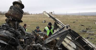 Дело МН17: суд впервые осмотрит реконструкцию сбитого над Донбассом самолета