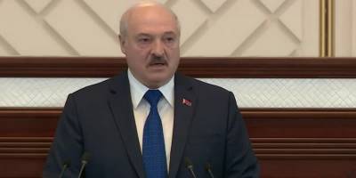 Лукашенко заявлениями о ХАМАС и Швейцарии в деле о принудительной посадке самолета Ryanair и захвате Протасевича насмешил сеть - ТЕЛЕГРАФ