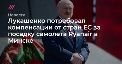 Лукашенко потребовал компенсации от стран ЕС за посадку самолета Ryanair в Минске