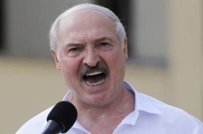 Журналист рассказал, почему Украина наряду с другими странами называет Лукашенко террористом и диктатором