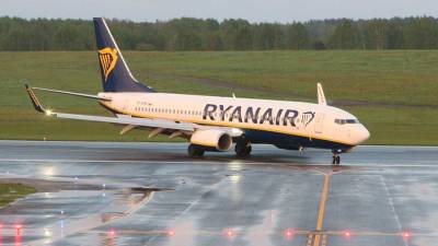 В Австрии назвали инцидент с самолетом Ryanair актом воздушного пиратства