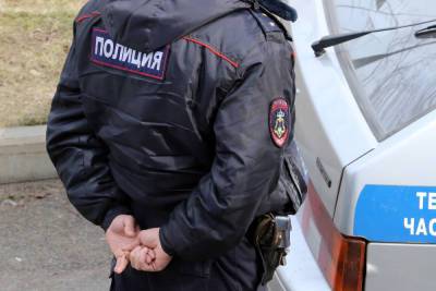 Полиция Петербурга задержала студента-насильника, который похитил девушку