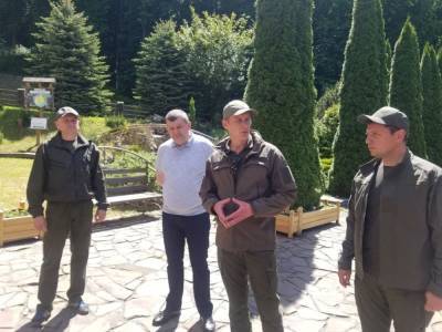 В Госэкоинспекции рассказали, кто вырубает украинские леса