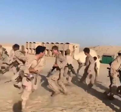 Развлечения американских солдат на Ближнем Востоке: одногорбый верблюд разогнал взвод морпехов США