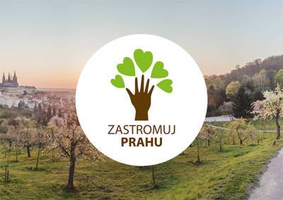 Прага предложила горожанам «усыновить» деревья