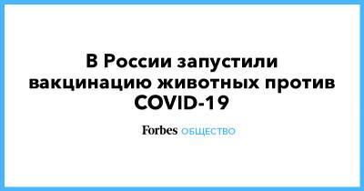 В России запустили вакцинацию животных против COVID-19