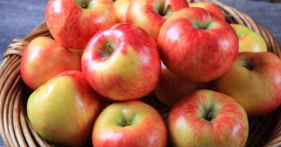 Кладезь витаминов на каждом столе: что стоит знать о пользе яблок