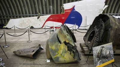 Адвокат оценила показания эксперта «Алмаз-Антея» по делу MH17
