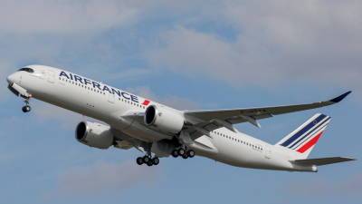 Air France объяснила отмену рейса в Москву проблемами с облётом Белоруссии