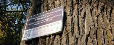 200-летний тверской дуб поборется за звание «Российское дерево года»