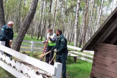На Брянщине для туристов создали зоны отдыха в лесах