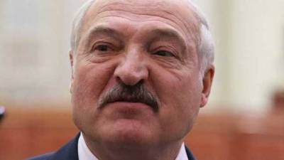 Лукашенко заявил, что Протасевич воевал на Донбассе: на заявление ответил экс-комбат "Азова"