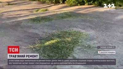 «Экологичный ремонт»: на Днепропетровщине оригинально засыпали дорожные ямы (ВИДЕО)