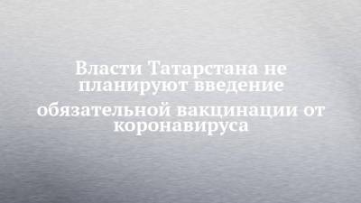 Власти Татарстана не планируют введение обязательной вакцинации от коронавируса