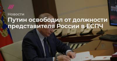 Путин освободил от должности представителя России в ЕСПЧ
