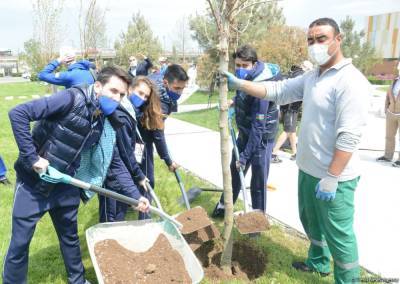 В преддверии 16-го чемпионата мира по аэробной гимнастике в Баку прошла акция по посадке деревьев (ФОТО)