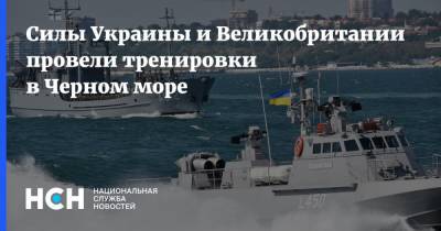 Силы Украины и Великобритании провели тренировки в Черном море