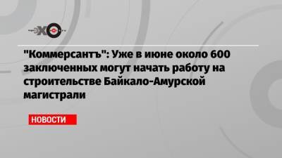 «Коммерсантъ»: Уже в июне около 600 заключенных могут начать работу на строительстве Байкало-Амурской магистрали
