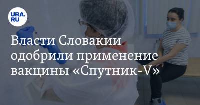 Власти Словакии одобрили применение вакцины «Спутник-V»