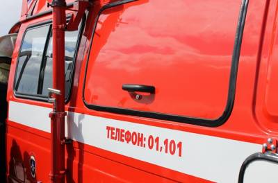 МЧС: Вместо пожарного поста в Московском появится областное пожарное подразделение