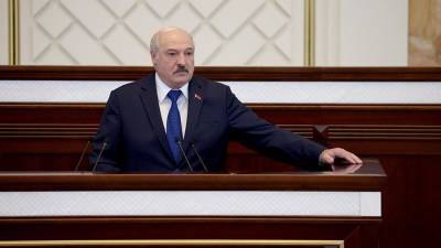 Лукашенко введет ответственность за призывы к санкциям против страны