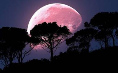 В небе над Кипром — «цветочная луна»