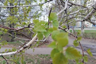 В Оренбургской области 27 мая возможен дождь с грозой