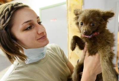 В Петербурге планируют начать вакцинацию домашних животных от COVID-19