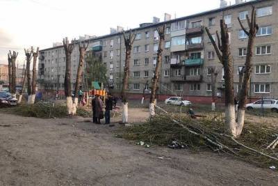 УК в Чите по просьбе жильцов обрезала во дворе деревья, падавшие во время урагана