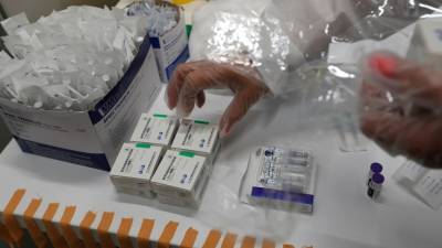 Власти Словакии одобрили применение российской вакцины «Спутник V»