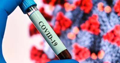 В России выявили версии COVID с мутациями британского штамма