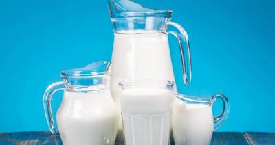В июле 2021 года на территории Беларуси начнет признаваться маркировка на молоко российских компаний