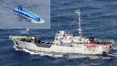 Япония допустила задержание российского судна «Амур»