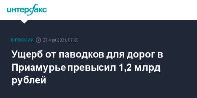 Ущерб от паводков для дорог в Приамурье превысил 1,2 млрд рублей