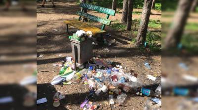 Воронежцы пожаловались на бездействие коммунальщиков по вывозу мусора из парка