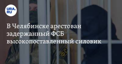 В Челябинске арестован задержанный ФСБ высокопоставленный силовик