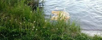 В Казани на озере Средний Кабан утонула 47-летняя женщина