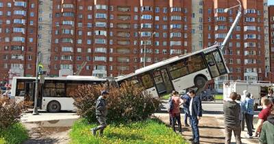 Автобус врезался в столб в Петербурге, есть пострадавшие