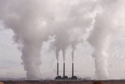 Российским компаниям предрекли убытки из-за углеродного налога