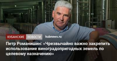 Петр Романишин: «Чрезвычайно важно закрепить использование виноградопригодных земель по целевому назначению»