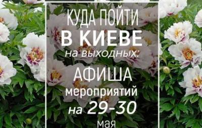 Куда пойти на выходных в Киеве: интересные события на 29 и 30 мая
