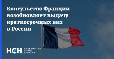 Консульство Франции возобновляет выдачу краткосрочных виз в России