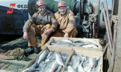 В России вновь вырастут цены на рыбу